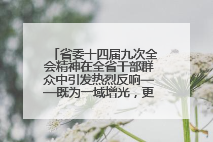 省委十四届九次全会精神在全省干部群众中引发热烈反响——既为一域增光，更为全局添彩