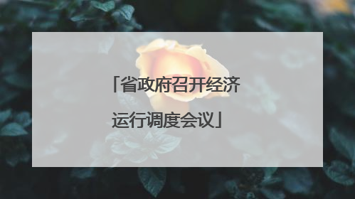省政府召开经济运行调度会议