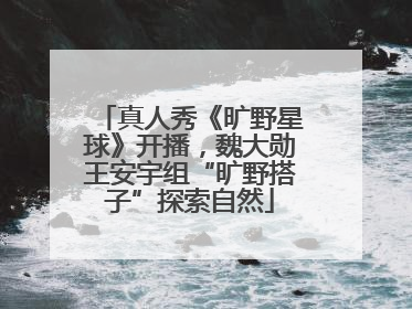 真人秀《旷野星球》开播，魏大勋王安宇组“旷野搭子”探索自然