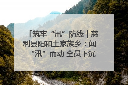 筑牢“汛”防线｜慈利县阳和土家族乡：闻“汛”而动 全员下沉筑牢防汛“安全堤”