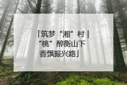 筑梦“湘”村｜“桃”醉衡山下 香飘振兴路
