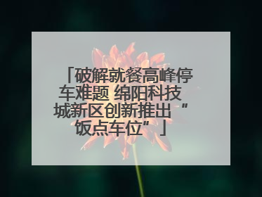 破解就餐高峰停车难题 绵阳科技城新区创新推出“饭点车位”