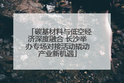 碳基材料与低空经济深度融合 长沙举办专场对接活动撬动产业新机遇