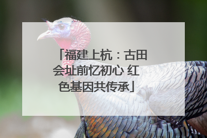 福建上杭：古田会址前忆初心 红色基因共传承