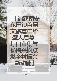 福建南安东田镇首届文旅嘉年华盛大启幕 圩日市集与杨梅采摘点燃乡村振兴新动能