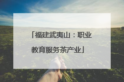 福建武夷山：职业教育服务茶产业