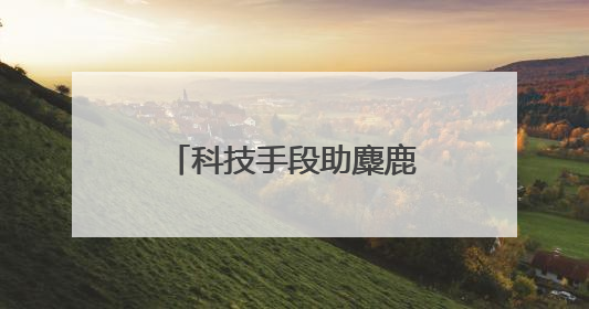 科技手段助麋鹿可持续发展 记者实地探访→