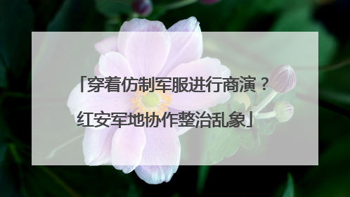 穿着仿制军服进行商演？红安军地协作整治乱象