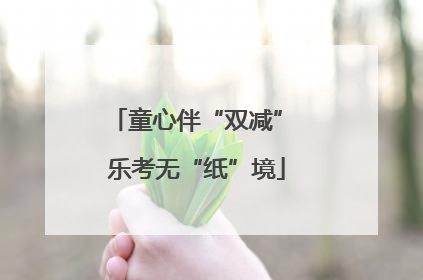 童心伴“双减” 乐考无“纸”境