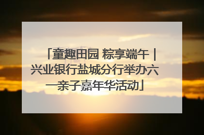 童趣田园 粽享端午｜兴业银行盐城分行举办六一亲子嘉年华活动