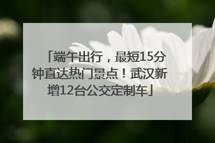 端午出行，最短15分钟直达热门景点！武汉新增12台公交定制车