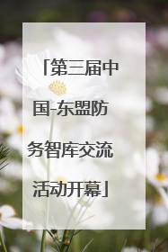 第三届中国-东盟防务智库交流活动开幕