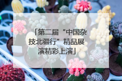 第二届“中国杂技北疆行”精品展演精彩上演