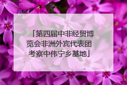 第四届中非经贸博览会非洲外宾代表团考察中伟宁乡基地