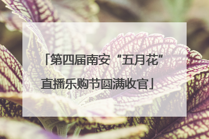 第四届南安“五月花”直播乐购节圆满收官