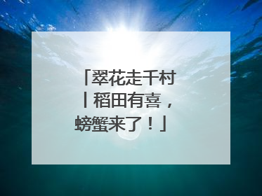 翠花走千村丨稻田有喜，螃蟹来了！