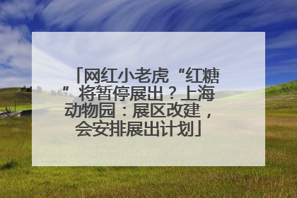 网红小老虎“红糖”将暂停展出？上海动物园：展区改建，会安排展出计划