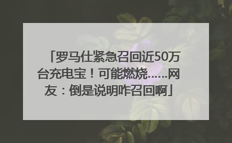 罗马仕紧急召回近50万台充电宝！可能燃烧……网友：倒是说明咋召回啊