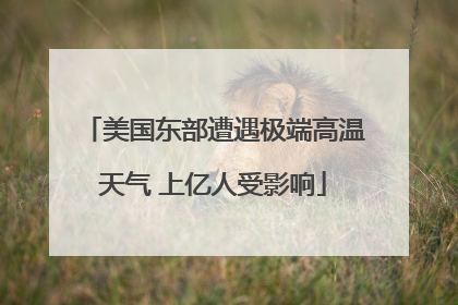 美国东部遭遇极端高温天气 上亿人受影响