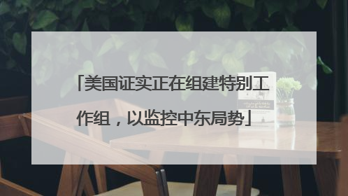 美国证实正在组建特别工作组，以监控中东局势