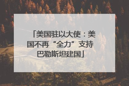 美国驻以大使：美国不再“全力”支持巴勒斯坦建国