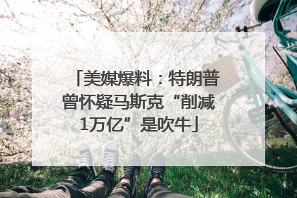 美媒爆料：特朗普曾怀疑马斯克“削减1万亿”是吹牛