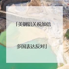 美钢铝关税加倍 多国表达反对