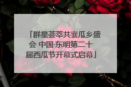 群星荟萃共襄瓜乡盛会 中国·东明第二十届西瓜节开幕式启幕