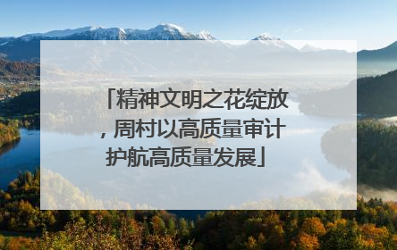 精神文明之花绽放，周村以高质量审计护航高质量发展