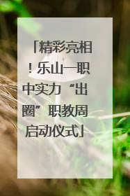 精彩亮相！乐山一职中实力“出圈”职教周启动仪式