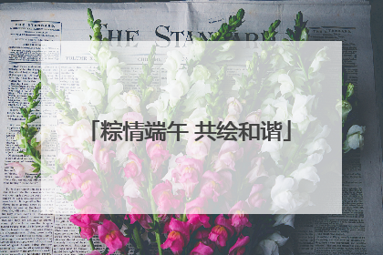 粽情端午 共绘和谐