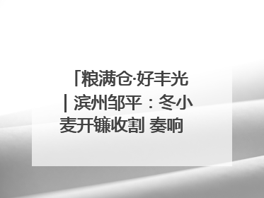粮满仓·好丰光｜滨州邹平：冬小麦开镰收割 奏响夏日丰收曲