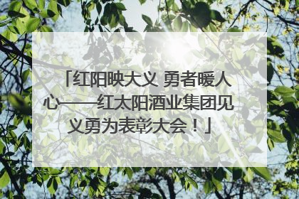 红阳映大义 勇者暖人心——红太阳酒业集团见义勇为表彰大会！