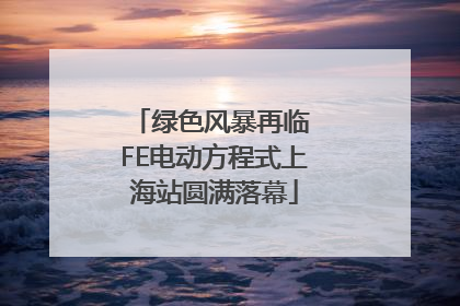 绿色风暴再临 FE电动方程式上海站圆满落幕