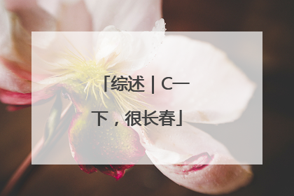 综述｜C一下，很长春