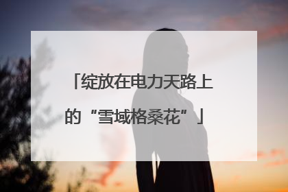 绽放在电力天路上的“雪域格桑花”