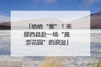绝绝“紫”！来郧西县赴一场“莫奈花园”的浪漫