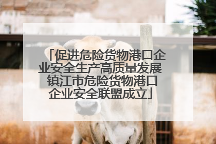 促进危险货物港口企业安全生产高质量发展 镇江市危险货物港口企业安全联盟成立