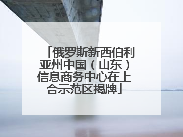 俄罗斯新西伯利亚州中国（山东）信息商务中心在上合示范区揭牌