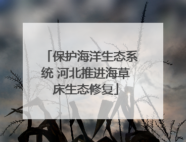 保护海洋生态系统 河北推进海草床生态修复