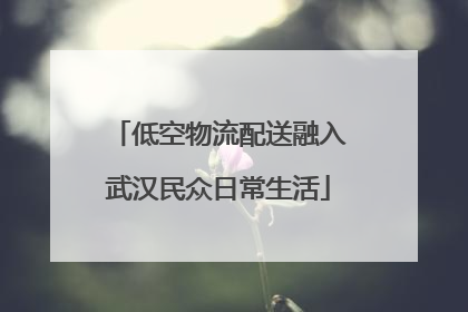 低空物流配送融入武汉民众日常生活