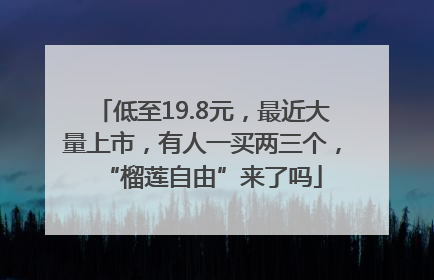 低至19.8元，最近大量上市，有人一买两三个，“榴莲自由”来了吗