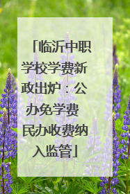 临沂中职学校学费新政出炉：公办免学费 民办收费纳入监管