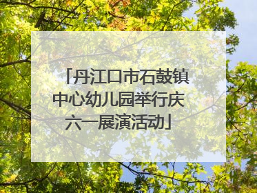 丹江口市石鼓镇中心幼儿园举行庆六一展演活动