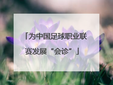 为中国足球职业联赛发展“会诊”