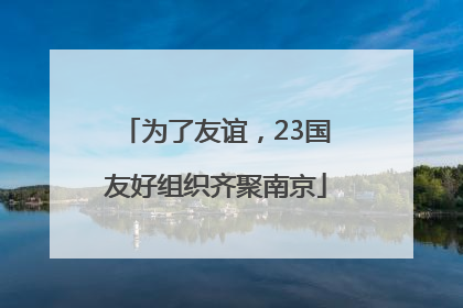 为了友谊，23国友好组织齐聚南京