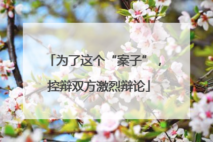 为了这个“案子”，控辩双方激烈辩论