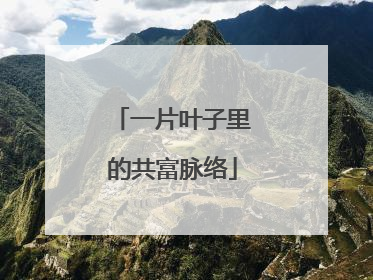 一片叶子里的共富脉络