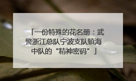 一份特殊的花名册：武警浙江总队宁波支队镇海中队的“精神密码”