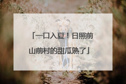 一口入夏！日照前山前村的甜瓜熟了